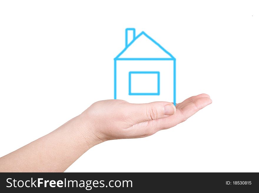Palm and house on a white background