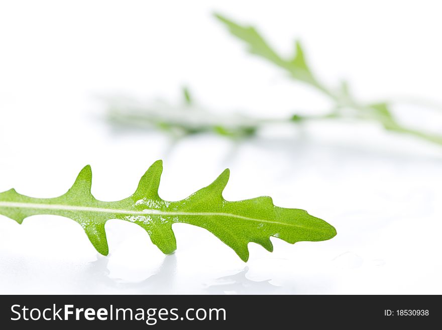 Ruccola fresh heap leaf on white