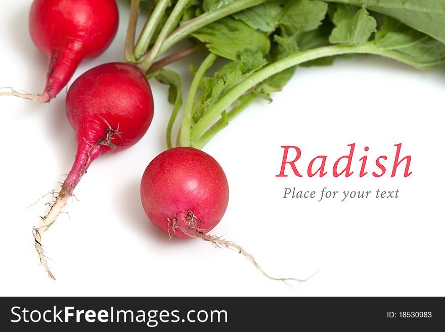 Three radishes