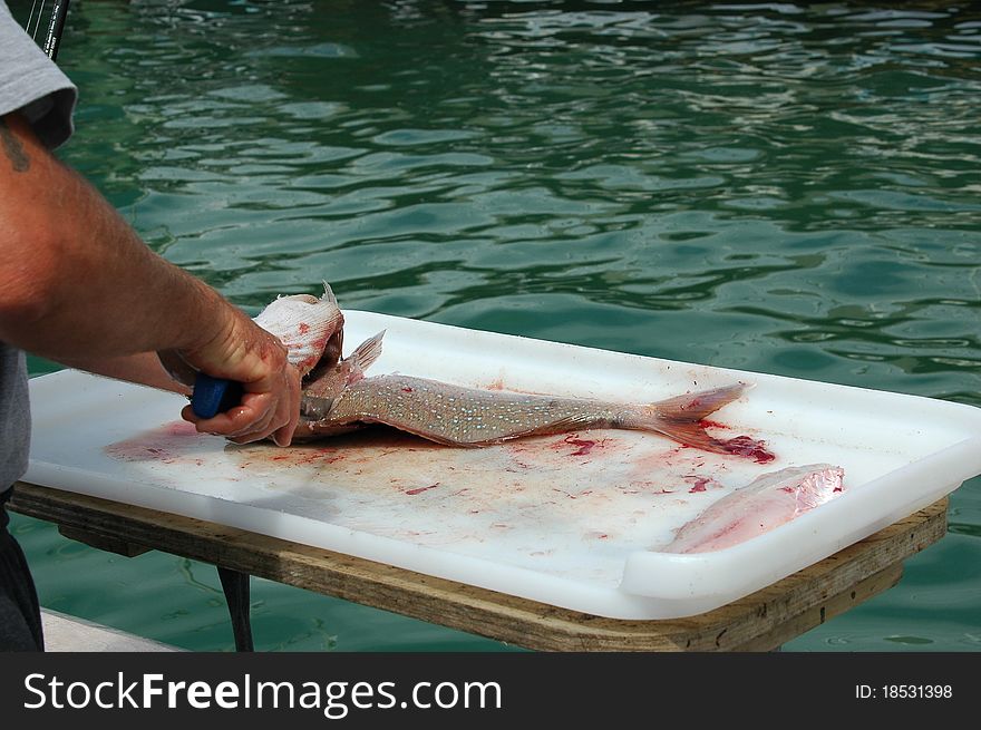 Filleting Fish