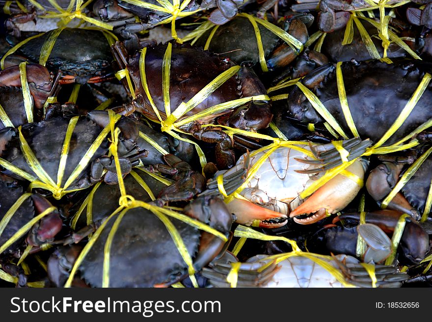 Black crab or often called mud crab or mangrove crab is an economically important crab species found in the estuaries and mangroves of Africa, Australia and Asia.