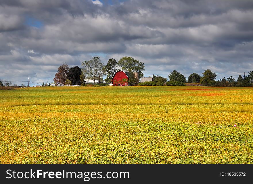 Scenic Farm Landscape