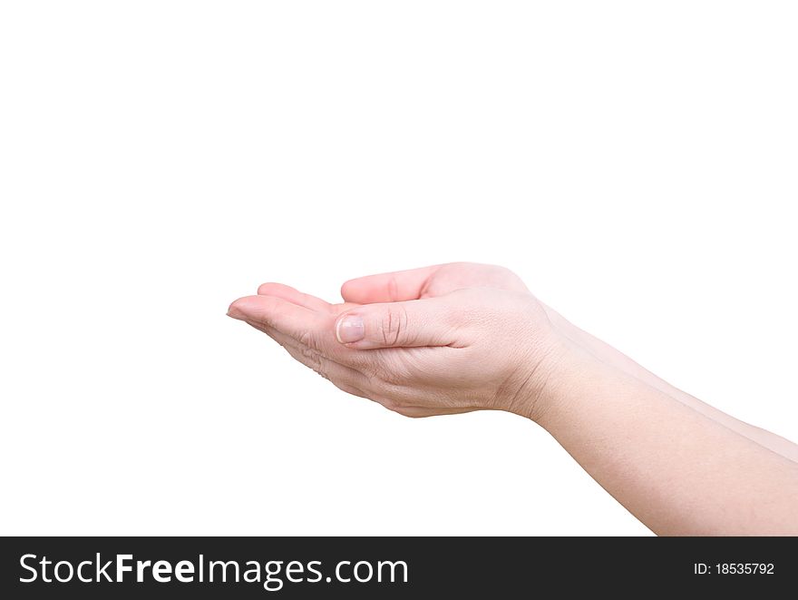 The palms show something on a white background