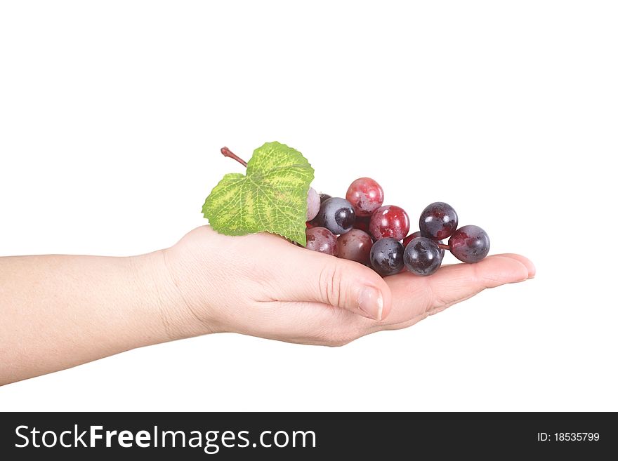 The palm shows a grape on a white background. The palm shows a grape on a white background