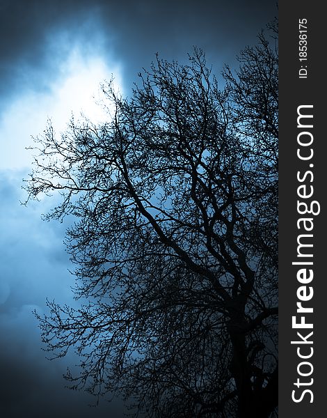 A barren tree silhouetted by moonlight. A barren tree silhouetted by moonlight.
