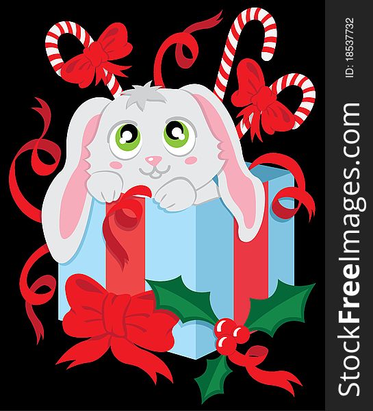 The Christmas Rabbit In The Box