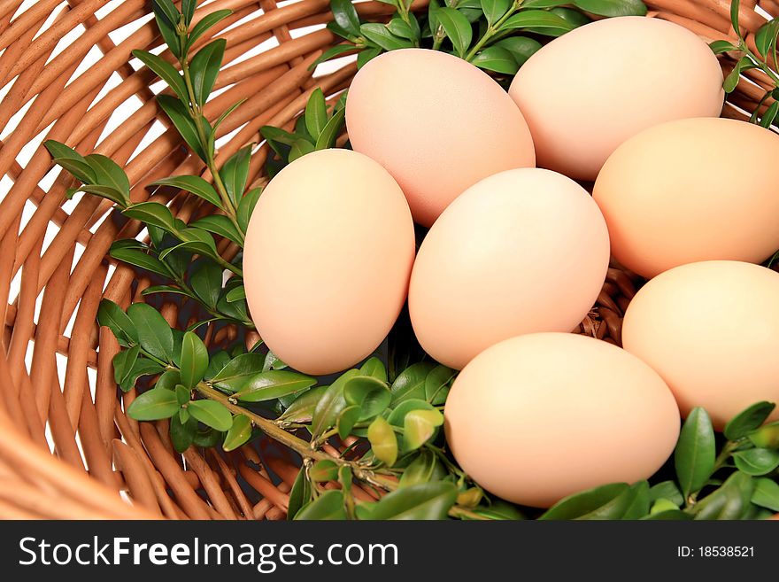 Fresh eggs in wooden basket