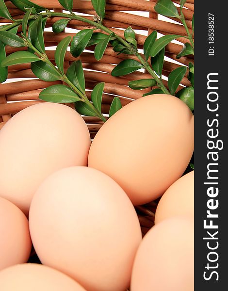 Fresh eggs in wooden basket