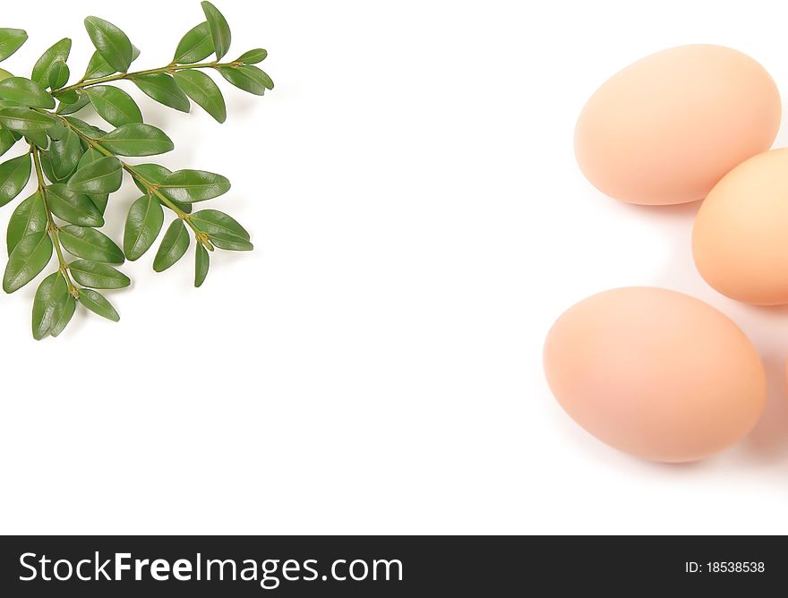 Eggs and branch of boxwood