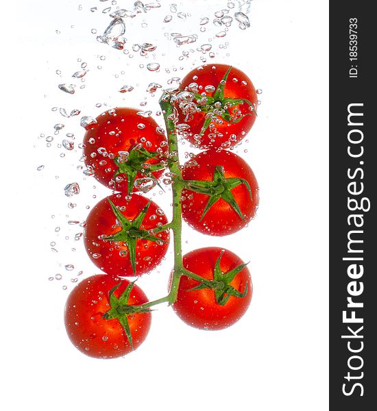 6 Fresh Tomatoes on vines with water bubbles isolated on a clear white background. 6 Fresh Tomatoes on vines with water bubbles isolated on a clear white background.