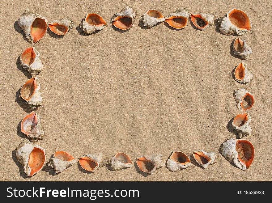 Frame maked of shells on sand. Frame maked of shells on sand.