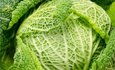 Savoy Cabbage Stock Photos Savoy Cabbage Stock Photos