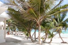 Luxurious Holiday Resort In Tulum Beach - Mexico Stock Photos