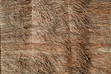 Reed Fence Stock Photography Reed Fence Stock Photography