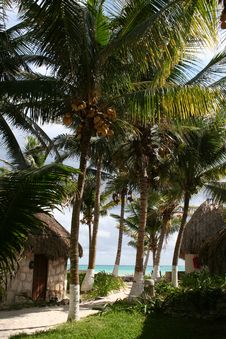 Holiday Resort In Tulum Beach - Mexico Royalty Free Stock Image Holiday Resort In Tulum Beach - Mexico Royalty Free Stock Image