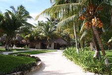 Holiday Resort In Tulum Beach - Mexico Stock Photography
