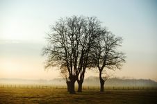 Morning Landscape Stock Photos Morning Landscape Stock Photos