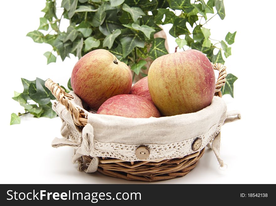 Red apples in the basket with ivy