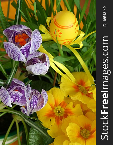 Easter still life with primroses and crocuses