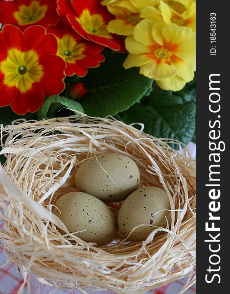 Easter still life with quail eggs