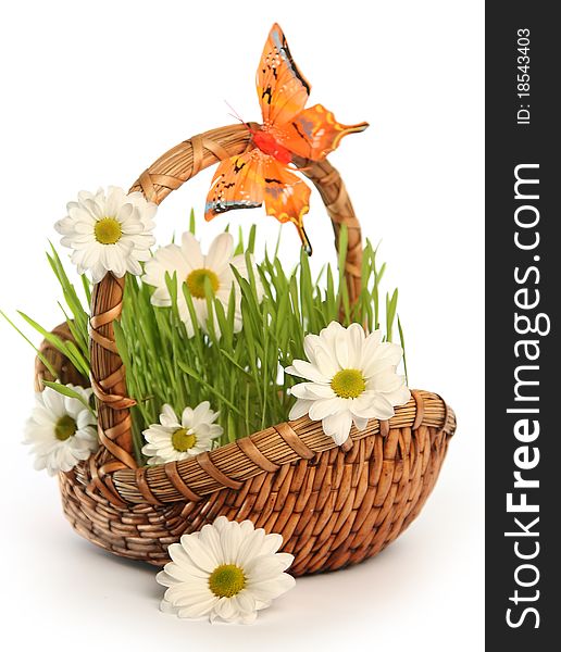 Basket with flowers isolated on white. Basket with flowers isolated on white