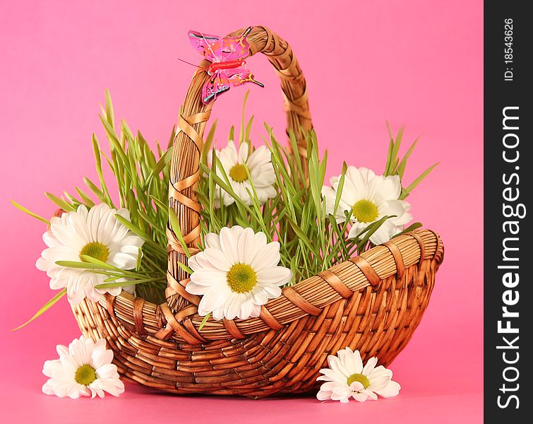 Basket with flowers on pink background