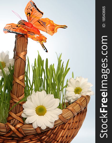 Basket with flowers on blue. Basket with flowers on blue