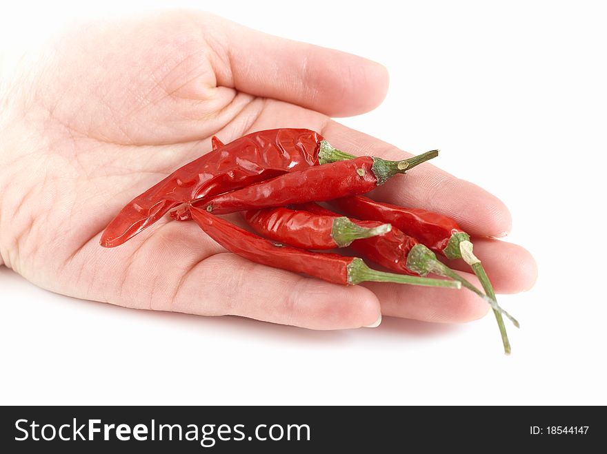 Caucasian hand hold a red hot chilli