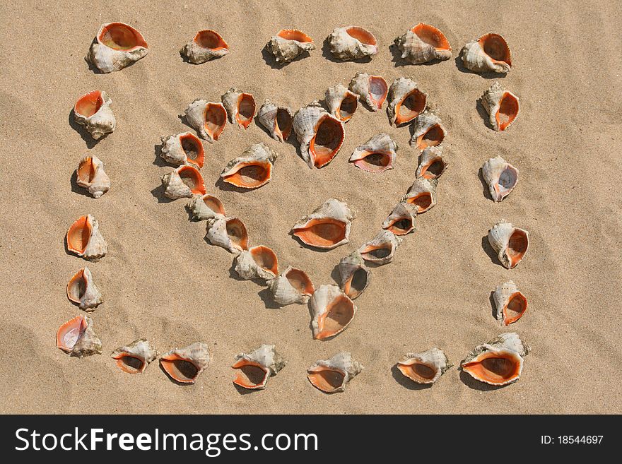 Draw maked of shells on sand. Draw maked of shells on sand.