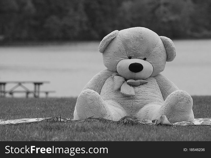 Giant toy bear sitting on meadow forest lake picnic bench background