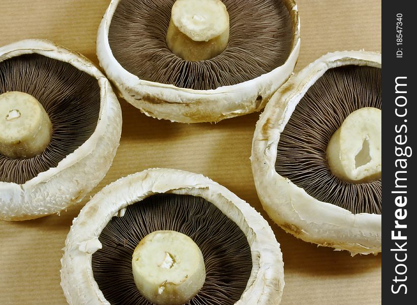 A closeup of four large uncooked mushrooms on brown paper. A closeup of four large uncooked mushrooms on brown paper