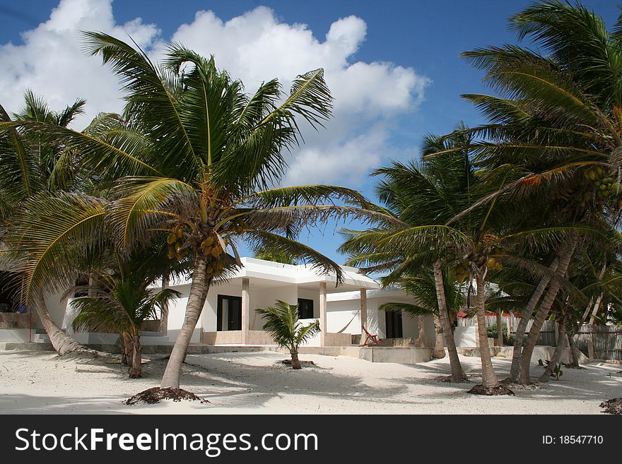 The Beach in Tulum - Mexico, South of Cancun - Luxurious Holiday Resort with Private Villa. The Beach in Tulum - Mexico, South of Cancun - Luxurious Holiday Resort with Private Villa