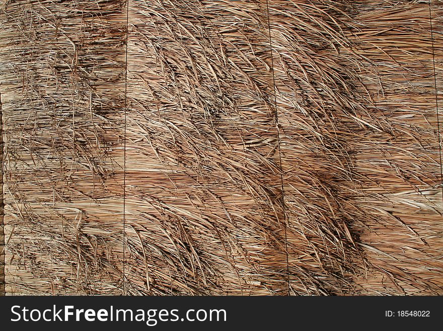 Reed fence made by stubble (cane)