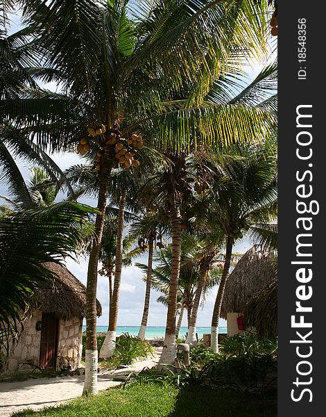 Holiday Resort in Tulum Beach - Mexico