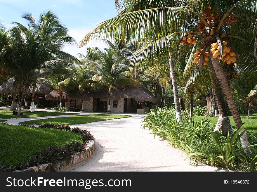 Holiday Resort in Tulum - Mexico, South of Cancun. Holiday Resort in Tulum - Mexico, South of Cancun