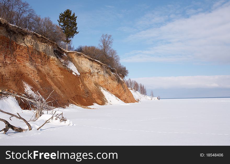 Winter landscape. Lone fir on a steep bank of a frozen river.