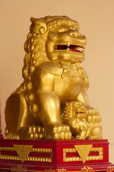 Female Chinese Lion Royalty Free Stock Photo