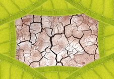 Dry Ground In Leaf Frame Stock Photography
