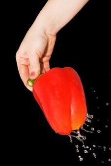Red Pepper In A Female Hand With A Spray Of Water Royalty Free Stock Photos