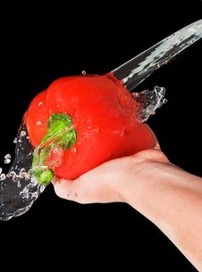 Red Pepper In A Female Hand With A Spray Of Water Royalty Free Stock Images