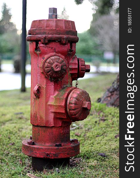 A rust old fire hydrant. A rust old fire hydrant