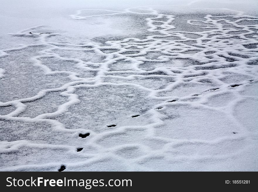 Footsteps And Line Patterns In The Snow Of A Frozen Lake In Southwestern Ohio