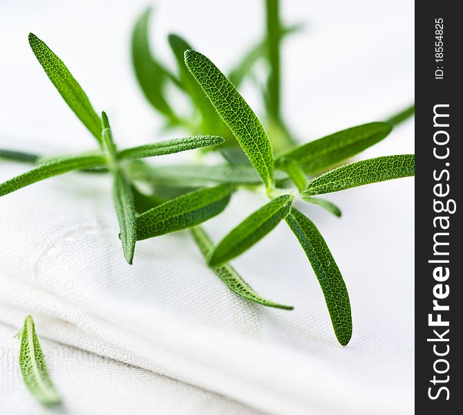 Close up of fresh rosemary on white napkin