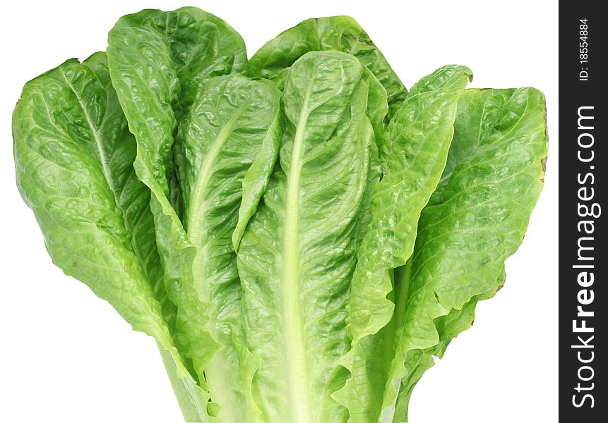 Image of lettuce on white background. The file contains a path to cut.