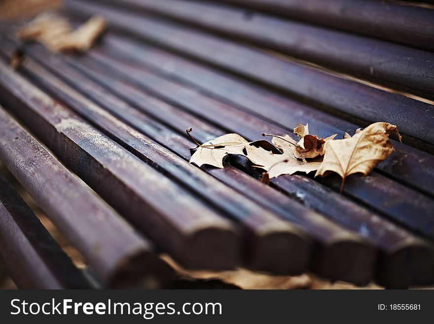 Wood bench with autumn leaves