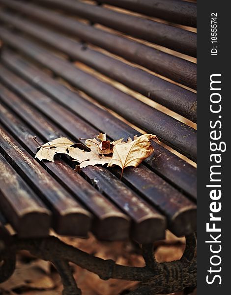 A nice wood bench covered with fallen brown autumn leaves on a cold winter day. A nice wood bench covered with fallen brown autumn leaves on a cold winter day.