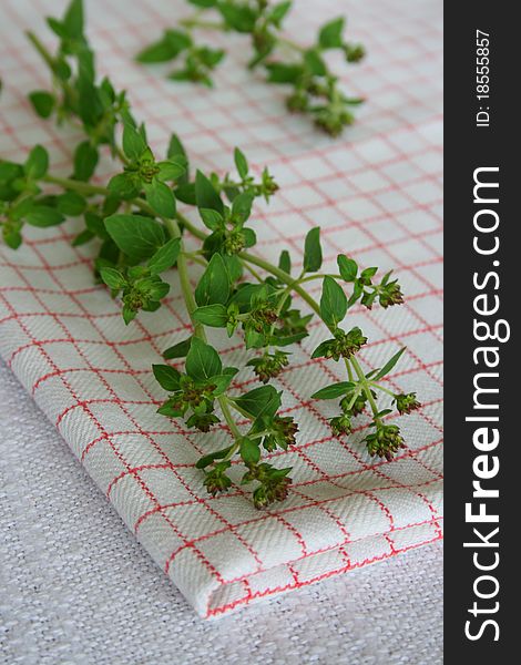 Fresh oregano with dishtowel, herb