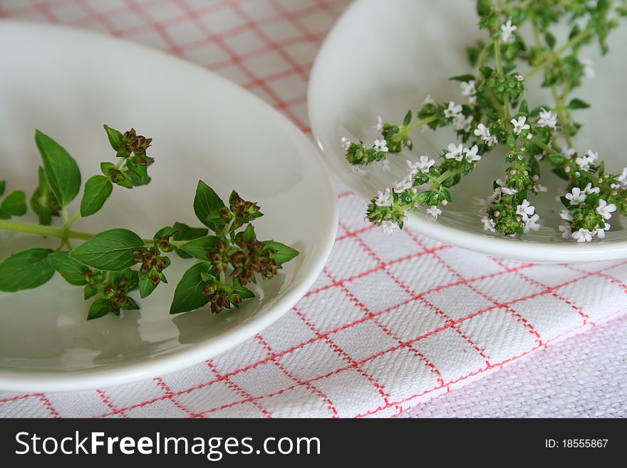 Fresh oregano and thyme in a bowl. Fresh oregano and thyme in a bowl