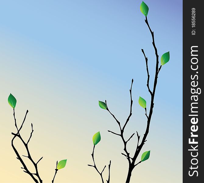 Vector tree branch with green leaves on the background of the solar sky. Vector tree branch with green leaves on the background of the solar sky.