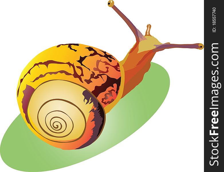 Image crawling snail crawling up